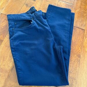 Banana Republic Navy Blue Trousers